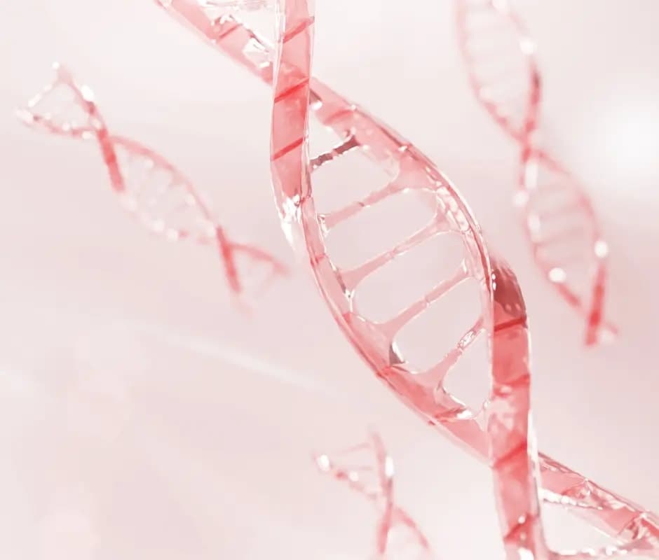 Stem Cell IV Drip Therapy for Energy, Vitality and Immune Wellness: What It Actually Does