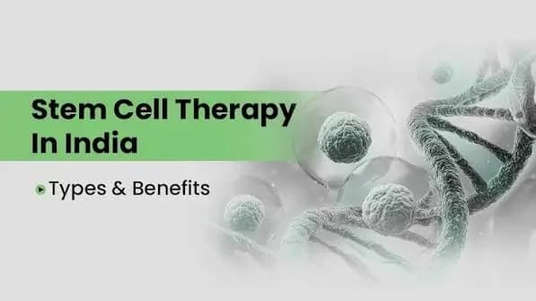 Can Stem Cells Treat PCOS? Separating the Research From the Hype